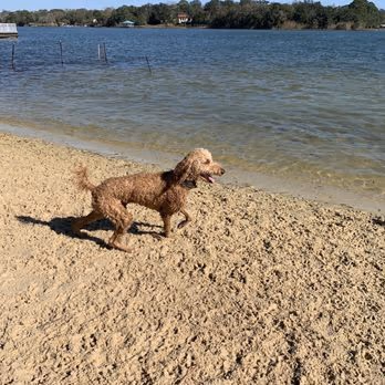 Bayview Dog Park and Beach
